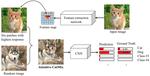 Attentive CutMix: An Enhanced Data Augmentation Approach for Deep Learning Based Image Classification