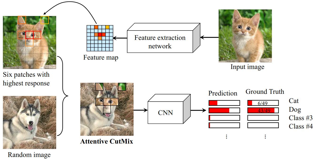 Attentive CutMix: An Enhanced Data Augmentation Approach for Deep ...
